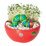 Faber-Castell CFK Hungry Caterpillar Ready to Grow Garden