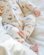 Toshi Onesie LS Harvest