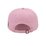Acorn Team Ice Cream Cap