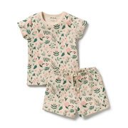 Wilson & Frenchy Organic Short Sleeved Pyjamas-sleepwear-Bambini