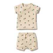 Wilson & Frenchy Organic Set-tops-Bambini